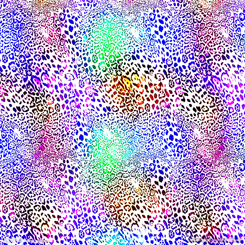 豹纹