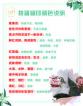 美容院拔罐说明