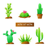 仙人掌植物插图