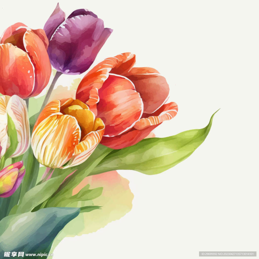 花卉背景