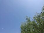 蓝天