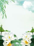绿色莲花背景