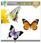 蝴蝶矢量卡通蝴蝶