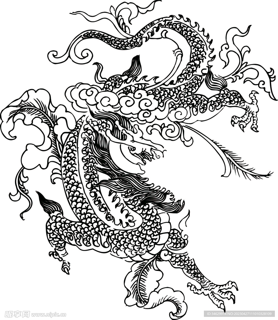 龙