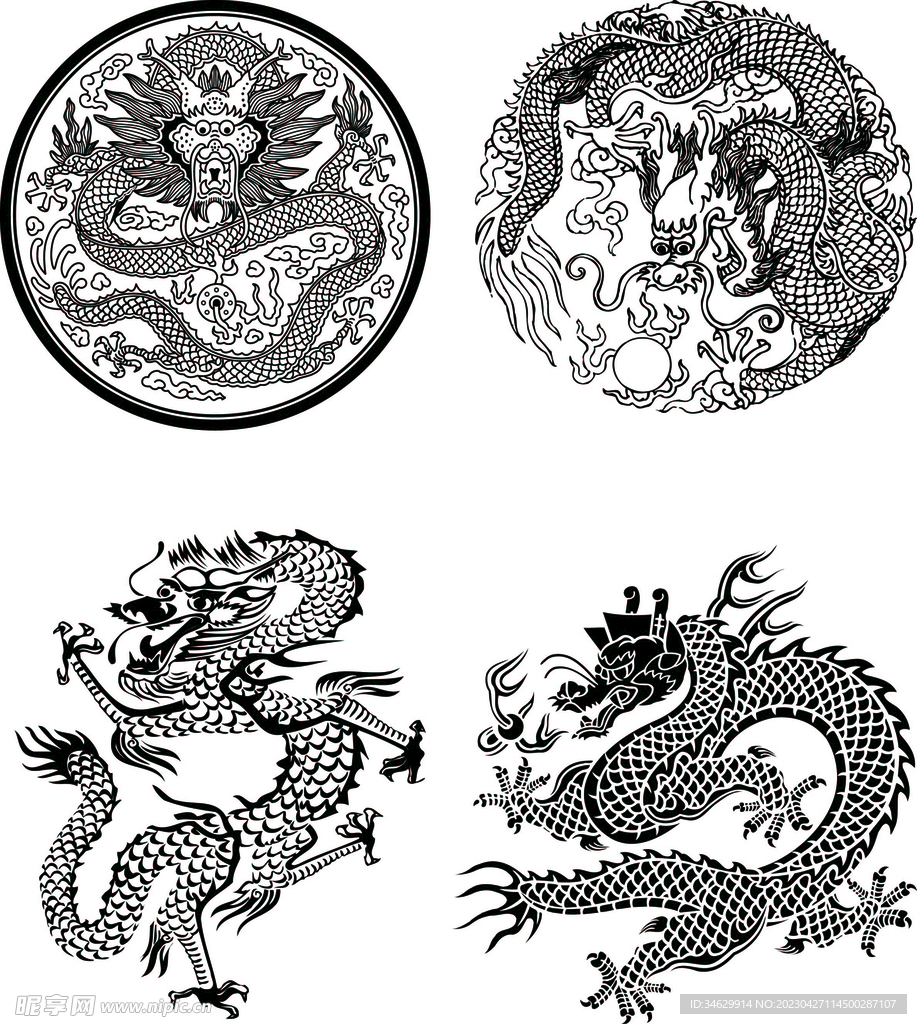 龙