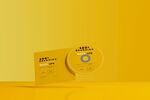 CD LOGO样机