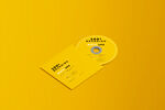 CD LOGO样机