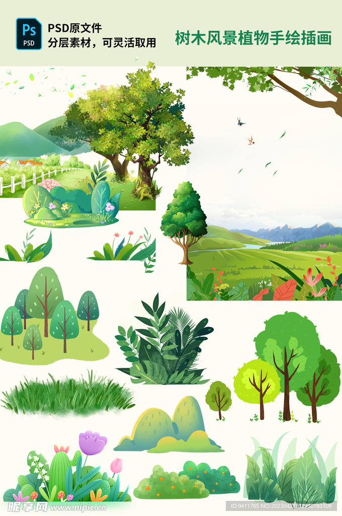 树木风景植物手绘插画