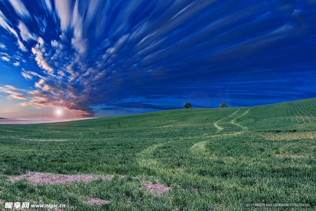 春天风景 
