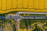 农田边的公路