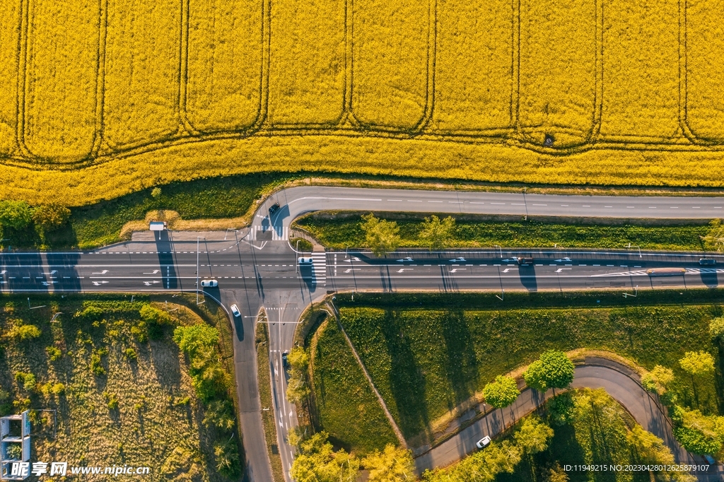 农田边的公路