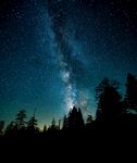 夜晚树林上方的星空 
