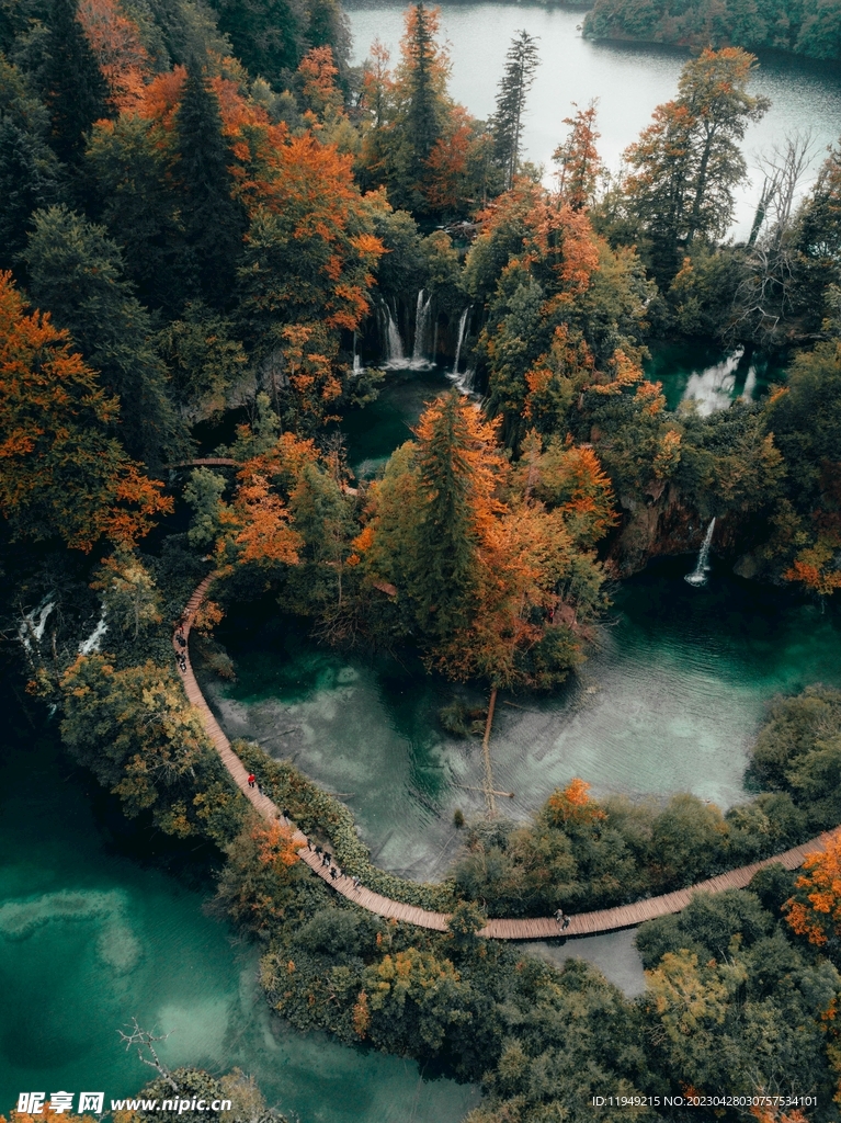 糊中树林风景
