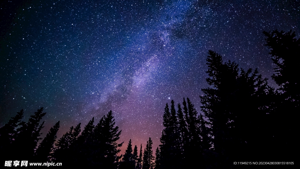 夜晚树林上的星空