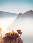 白雾下的山峰 