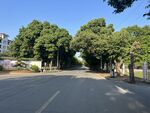 路校路段