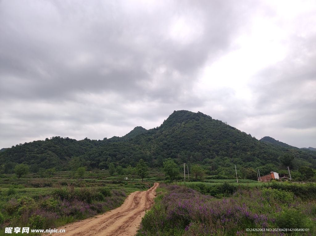 秦岭山