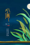 小满种粮食海报