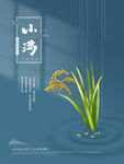 小满节气海报