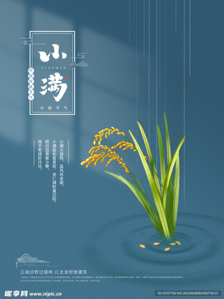 小满节气海报