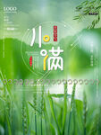 小满万物生长海报