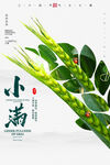 小满稻子绿了节气海报