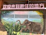 西双版纳