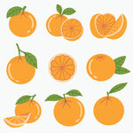 手绘鲜橙水果素材