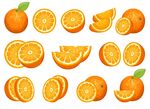 鲜橙水果切片素材