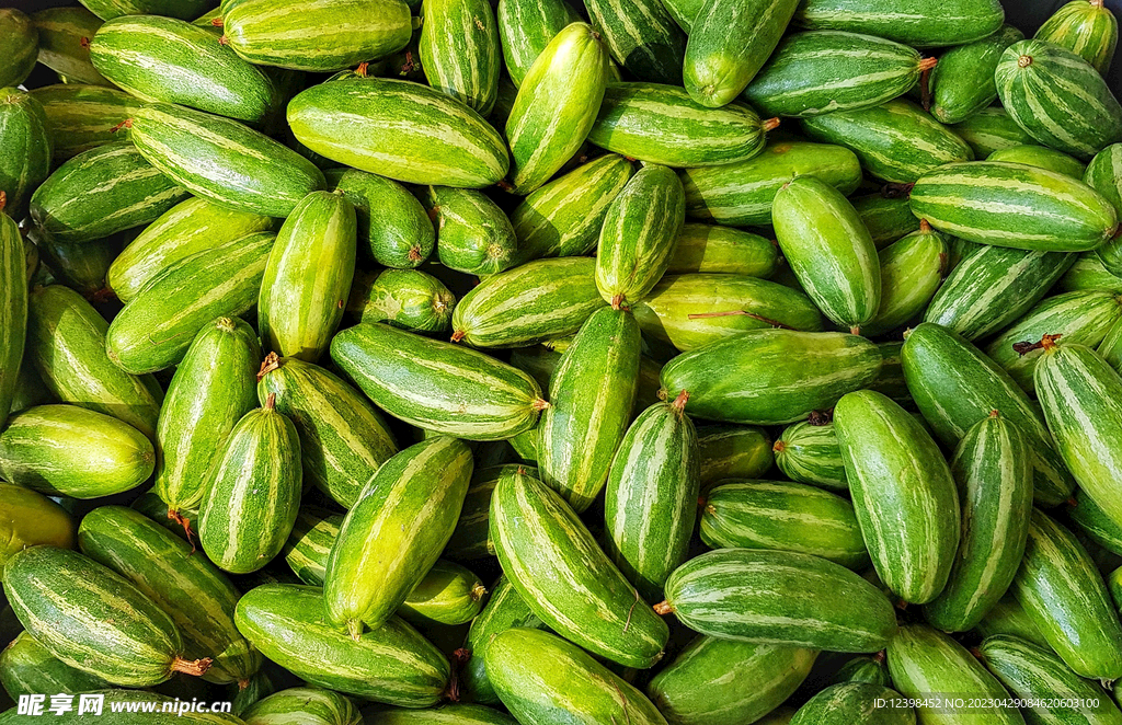 黄瓜
