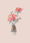 山茶花
