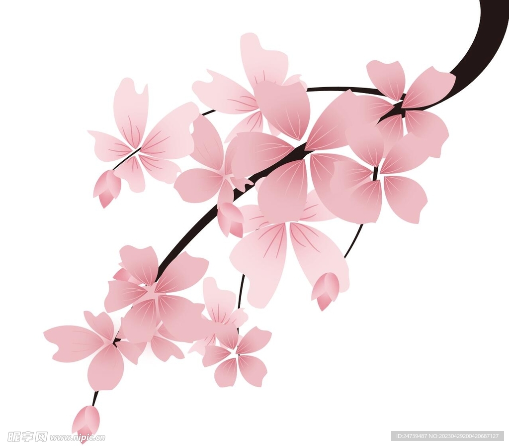 桃花