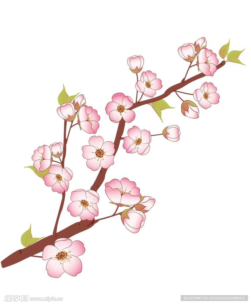 桃花
