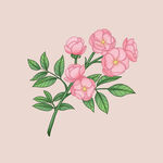 月季