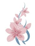 兰花