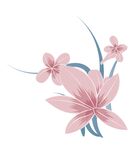 兰花