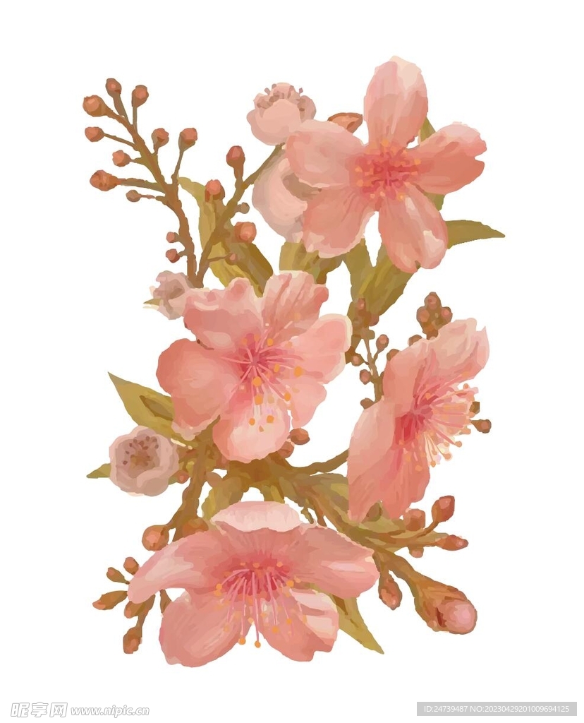 桃花