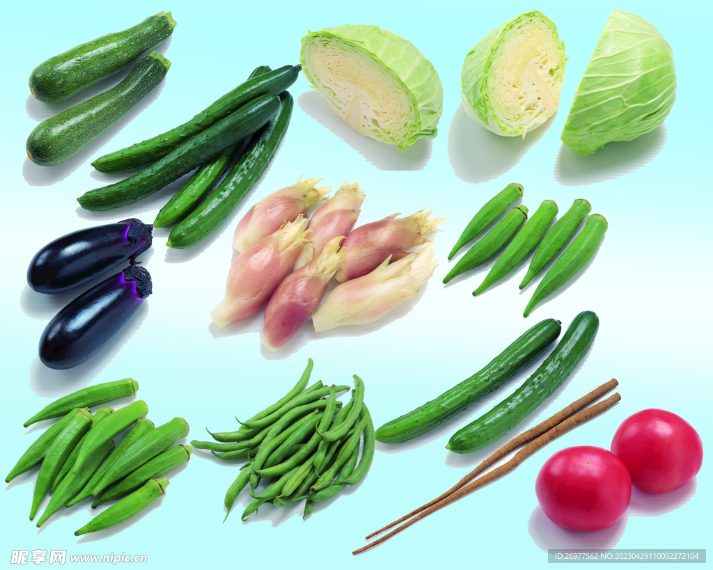 蔬菜  