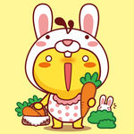 十二生肖兔子