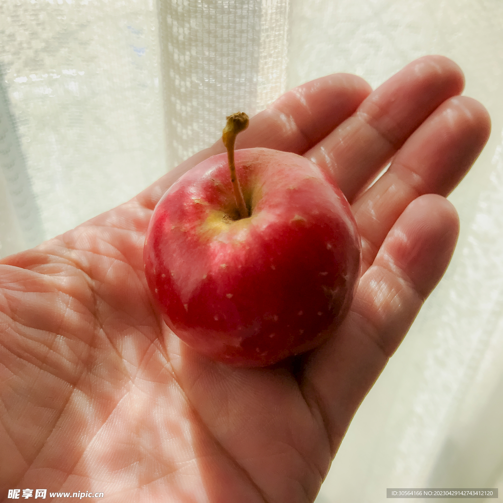 苹果
