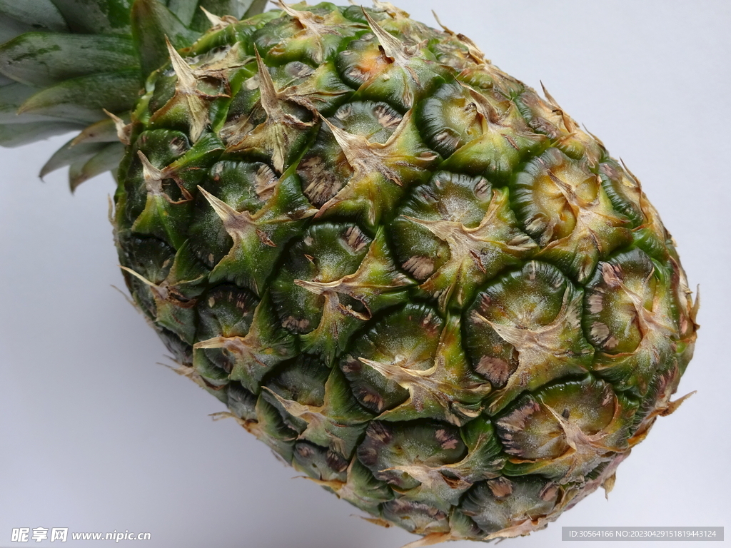 菠萝