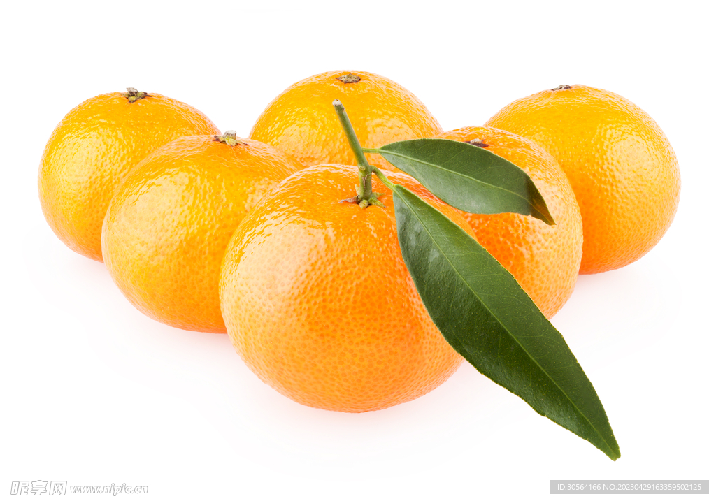 橙子