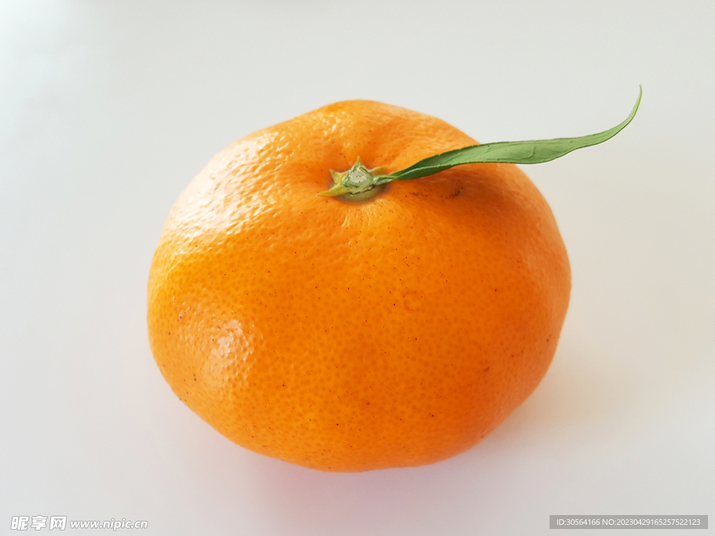 橙子