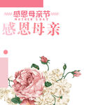 感恩母亲节
