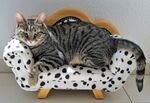 猫