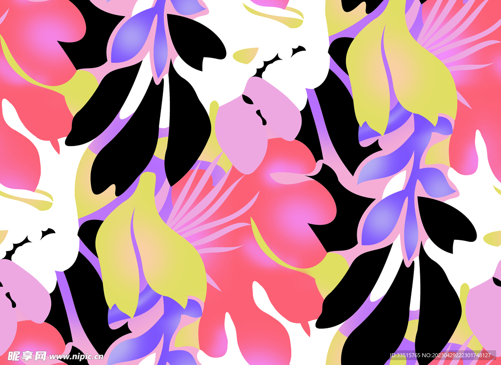 热带植物    叶子