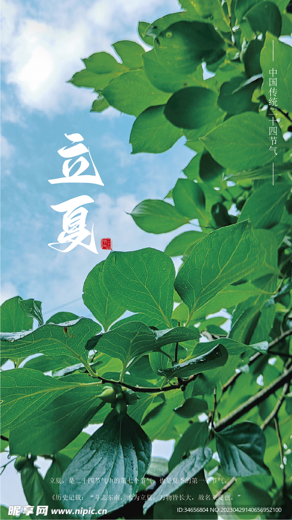 立夏