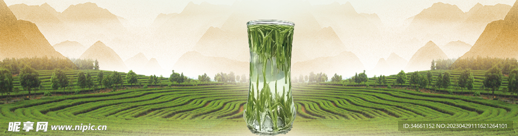 青茶茶叶茶园背景