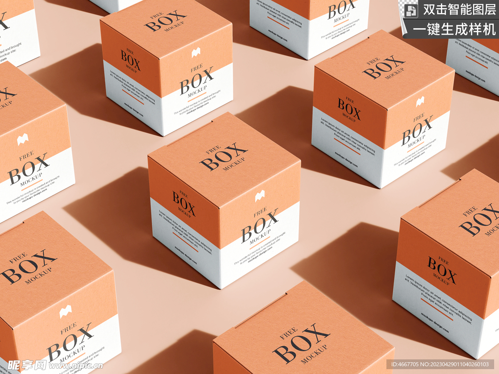包装纸盒样机         