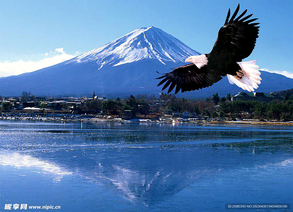富士山